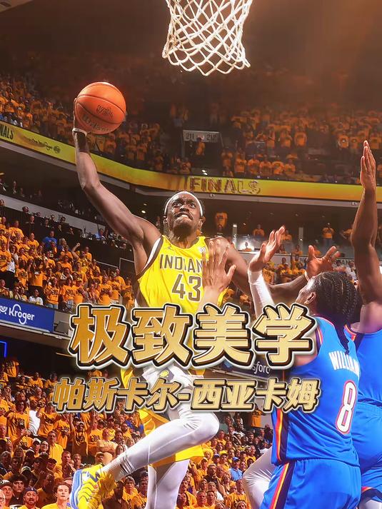 关于西亚卡姆新星晋级下一阶段表现突出，TL前途光明！的信息
